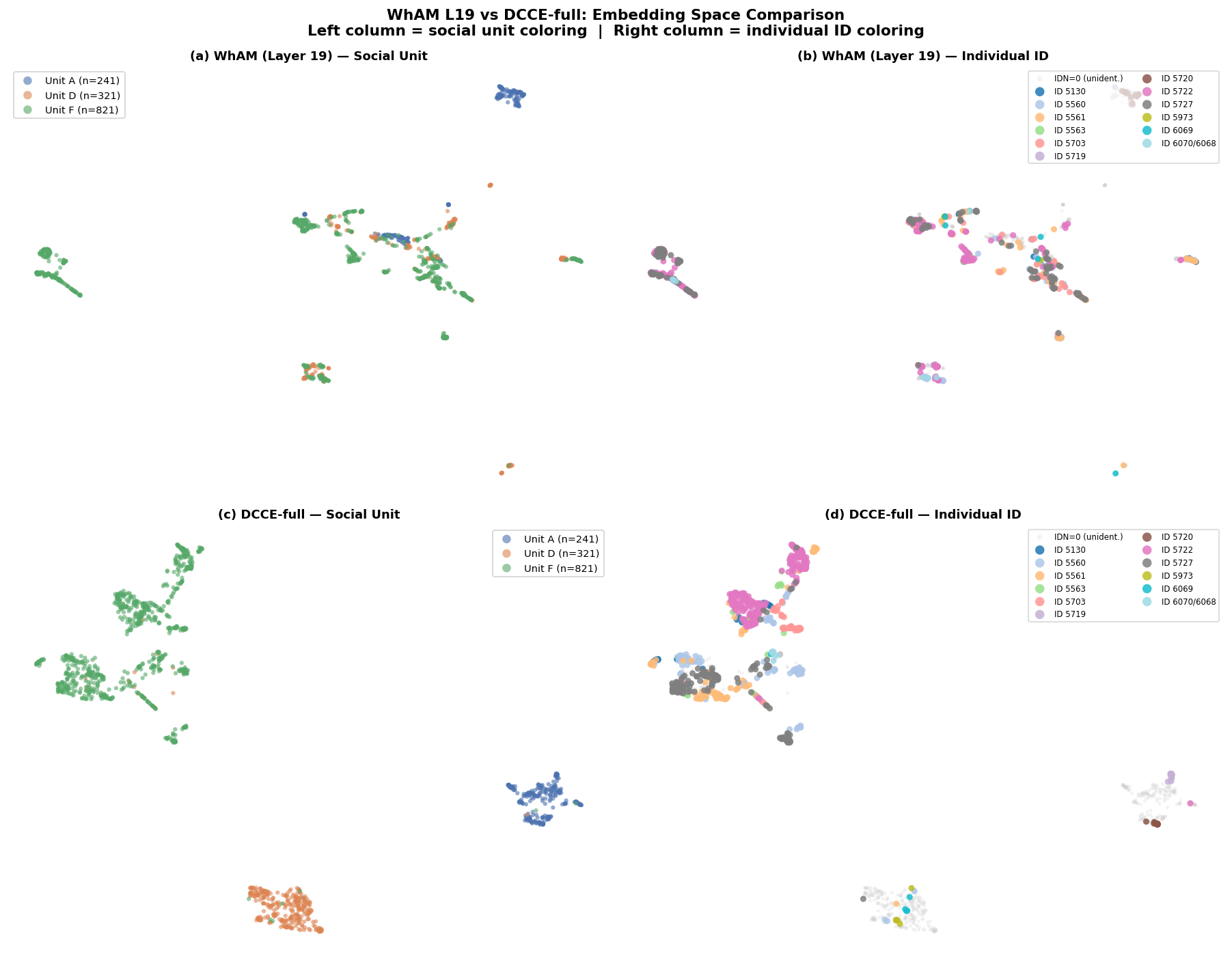 DCCE vs WhAM UMAP